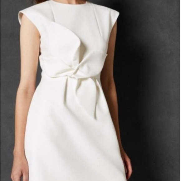 Ted Baker dress - Picture 2 of 12